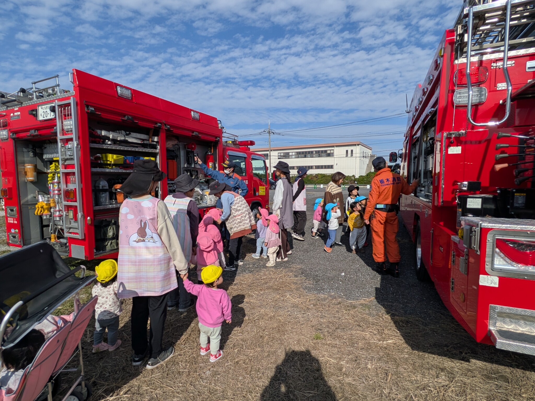 PXL_20251114_012918863[1]