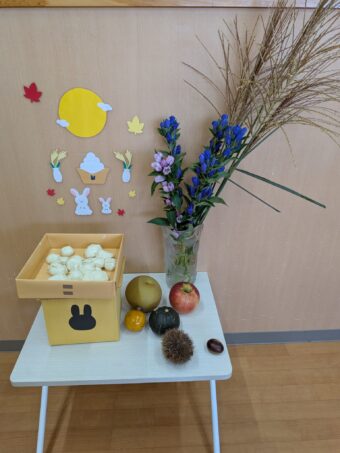 PXL_20251006_015615631[1]