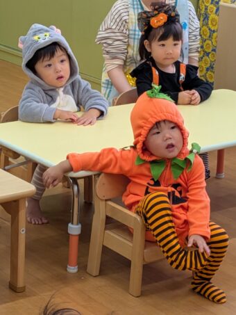 PXL_20251031_010407763[1]