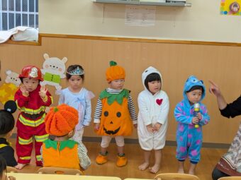 PXL_20251031_011126381[1]