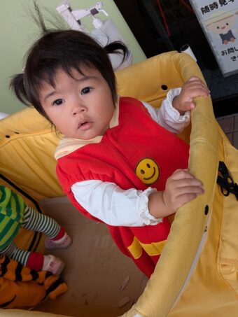 PXL_20251031_013102238[1]