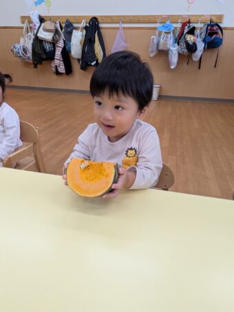 PXL_20251031_022044553[1]