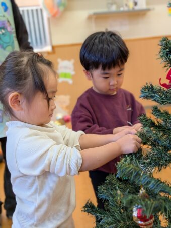 PXL_20251222_012127561.PORTRAIT