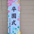 PXL_20260327_013510477[1]