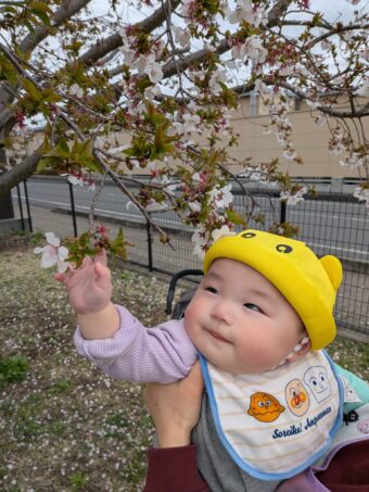 PXL_20260401_005848829[1]