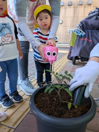 PXL_20260507_012130726[1]