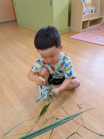 PXL_20260706_013250200[1]
